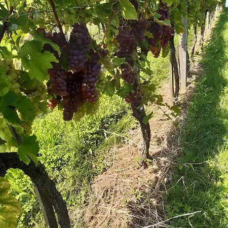 Familie Lebbing Holiday home *