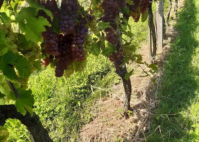 Familie Lebbing بيت للعطل *